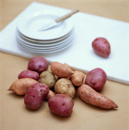 红薯抗癌第一菜 这样吃最有效果