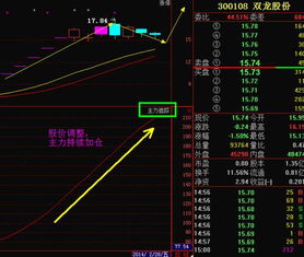 002006股票什么时候调整到位？