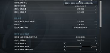 CSGO里没有设置战队标签的选项 