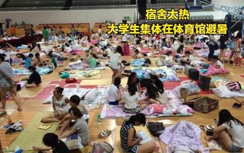 大学学报论文查重工具推荐与使用技巧