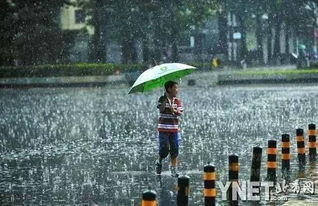 廊坊暴雨加冰雹刷了朋友圈了