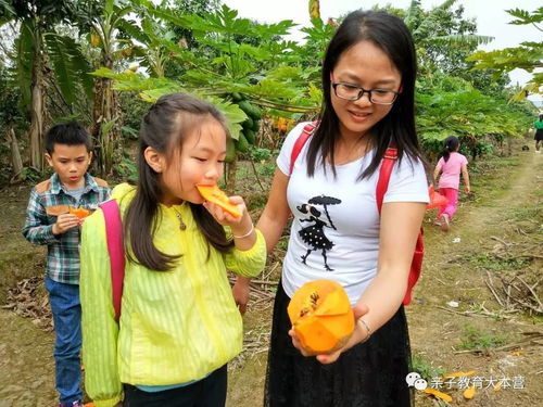 这里的水果任摘任吃 今天挤满了大人和小孩 玩嗨了 