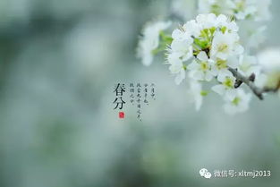 春分雨脚落声微,美甲拂指触笔盈 时尚频道 手机搜狐 