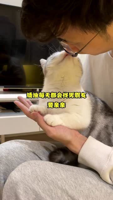 给你对象看看,养小母猫的下场 