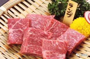 日本料理 日式烧肉并不源起于日本 走近日本料理的烧肉文化和特点 