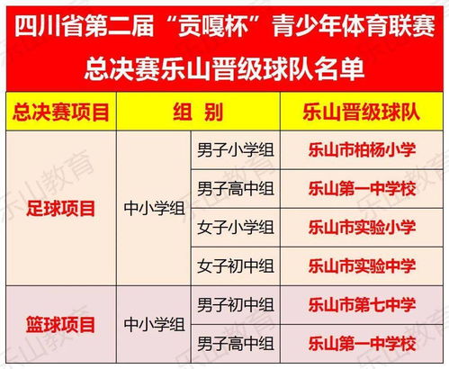 业余足球队会费收取通知,球队缴纳会费通知