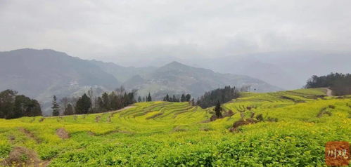 四川凉山德昌麻栗镇