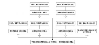 惹不起的三类股东 0.24 股本,最多穿透11层