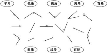 连一连,牵线搭桥 它们的名称分别是什么呢 