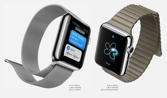 苹果发布Apple Watch智能手表 
