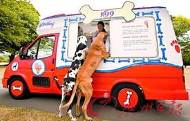 酷热夏日狗狗冰激凌车出街 有两种口味 