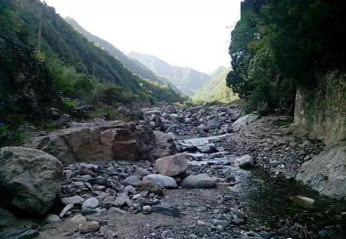 绝对实用 去河边捡石头前, 看一遍, 保证满地都是奇石