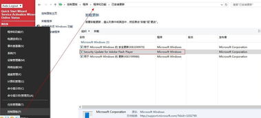 win10看直播显示flash