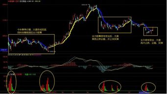 3、证券投资的基本分析主要包括哪些内容？如何应用基本分析对股票进行长时间投资？