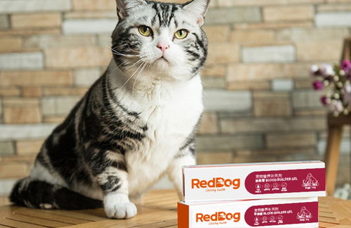 红狗补血膏应该怎么样吃,猫咪才会更健康