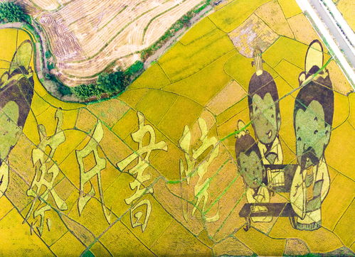 南宁这个名不见经传的小村庄,靠稻田艺术画作,竟成了一个网红地