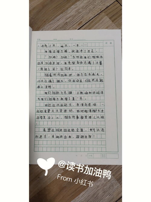 k12教育分享 春季运动会作文 