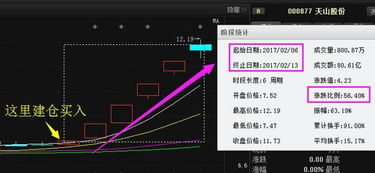 朋友给推荐了河北天山集团股票，我想先了解一下它的实力怎么样？