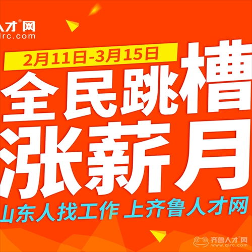 齐鲁人才网最新招聘职位 齐鲁人才网 