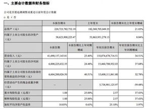 格力电器财务分析毕业论文