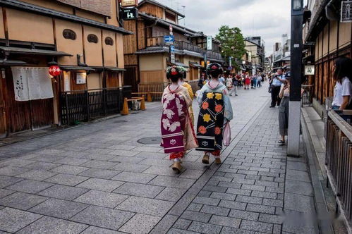 真实的日本艺伎 已是日本非物质文化遗产,如今却只有数百人从业