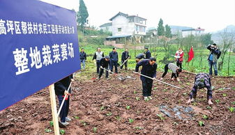 农民工劳动技能大赛 土味 足