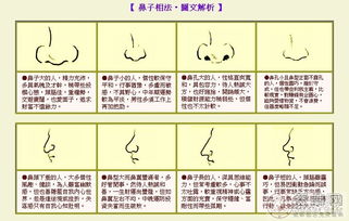 八卦塔罗 鼻子看你一生命运好坏