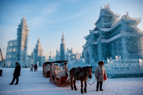 12月去这几个地方旅行 美到你不想回家