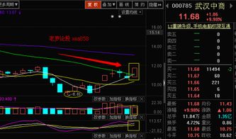 武汉中商股票分析为什么涨了