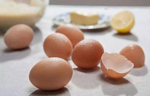 鸡蛋壳不仅是一味良药,还能解决不少生活问题