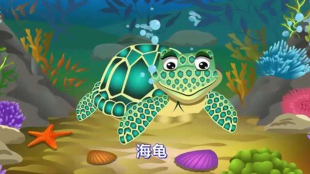 快乐英语ABC有关海洋动物的英语单词海马海龟章鱼龙虾记单词啦 