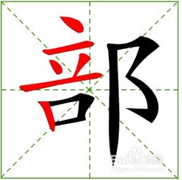 部 字的笔顺 易错点 