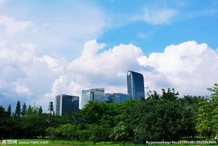 深圳荔香公园图片 