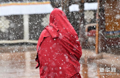 雪后大昭寺金顶 