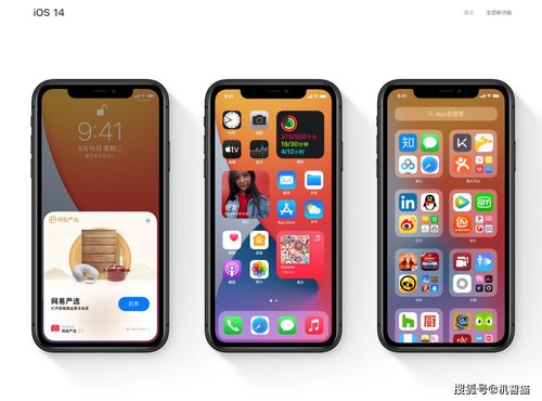 iPhone 11用户必升 iOS 14.5上线新功能