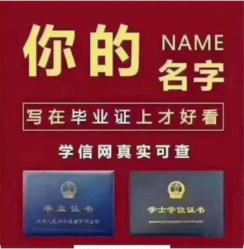 国有企业是否应当核实员工的学历？有无规定