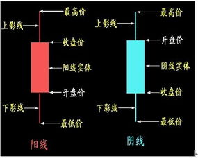 怎样买股票，怎样交易