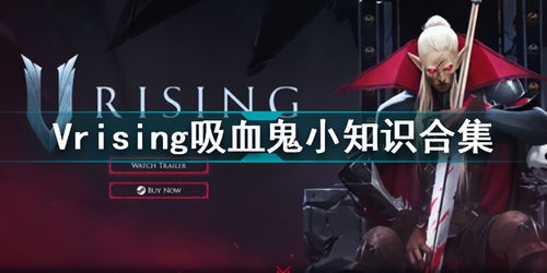 Vrising吸血鬼小知识合集Vrising有哪些冷知识