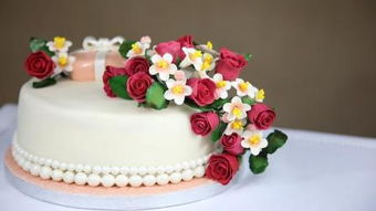 金牛摩羯座生日蛋糕，摩羯座的生日蛋糕(摩羯座蛋糕图片大全)