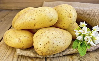 初中生物保存土豆的方法(生物保存食物的方法)