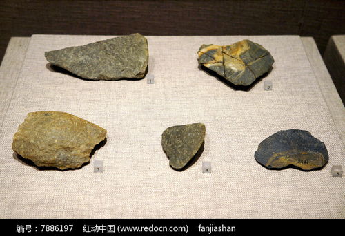 新石器时代晚期石器高清图片下载 红动网 