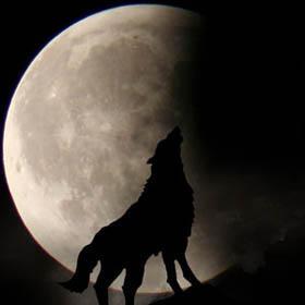 今晚天狗食月,月全食奇观将现身,错过再等150年 