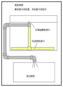 16种养鱼过滤设计原理介绍