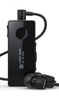 Stereo Bluetooth Headset SBH50下载 Stereo Bluetooth Headset SBH50app下载 Stereo Bluetooth Headset SBH50手机版下载 