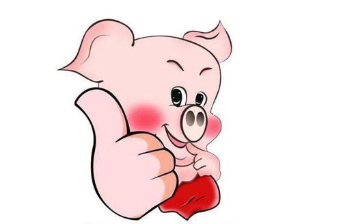 2018年2月属猪人在爱情和事业上会面临着 