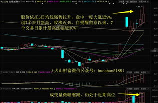 大众公用股票下半年涨不涨