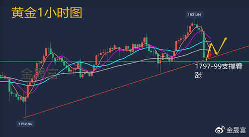 一定给分。黄金和石油的涨跌什么关系？