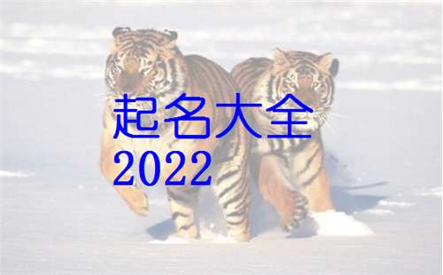 2022年虎宝宝名字女(2022年虎宝宝名字女孩 中英文名字)