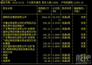 如何查看人均持股量？