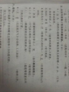 八种关联词语分类及用法